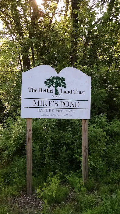 Mike's Pond Picture 2