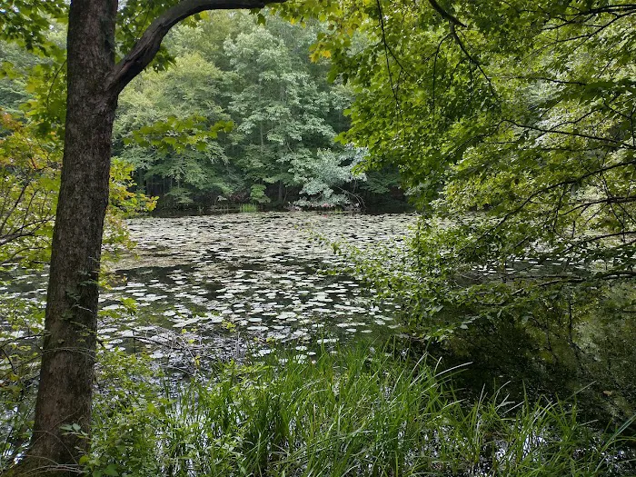 Stephenson Nature Preserve Picture 10