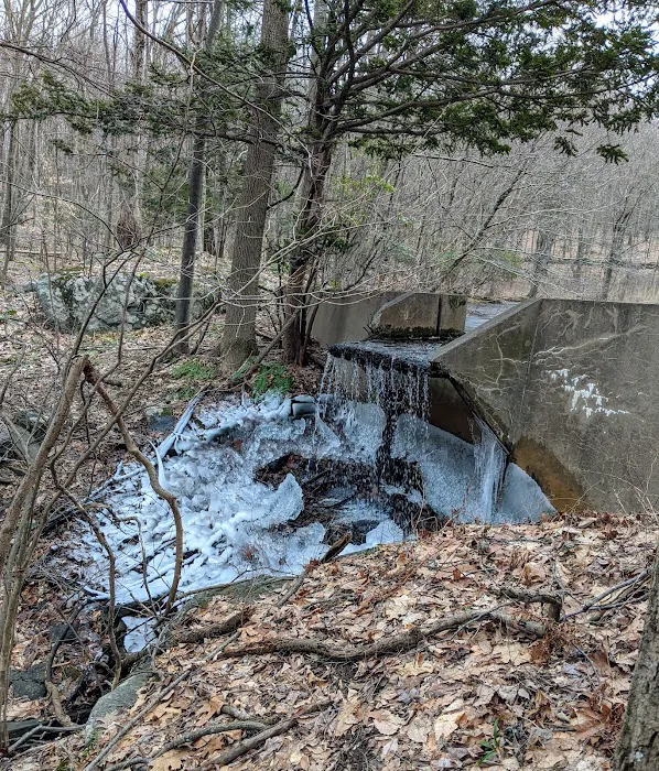 Stephenson Nature Preserve Picture 9