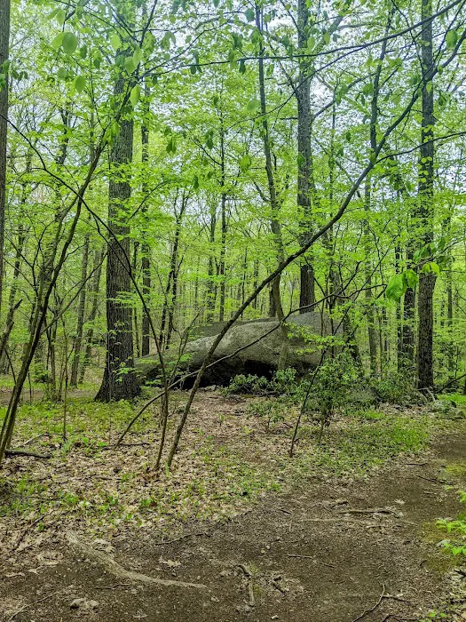 Collis P. Huntington State Park Picture 4
