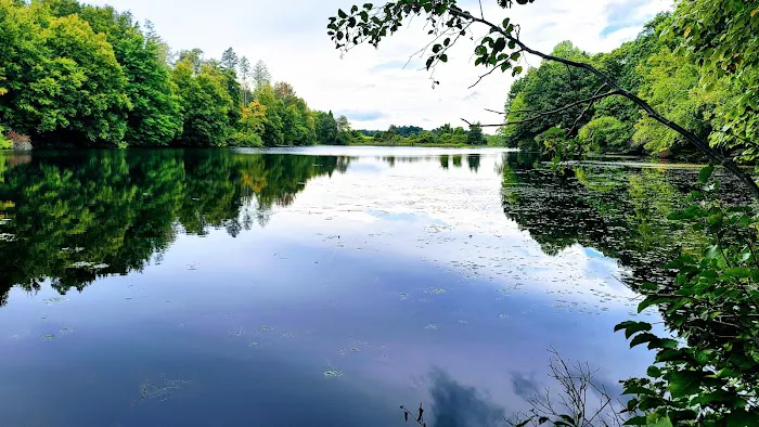 Tarrywile Park Picture 3