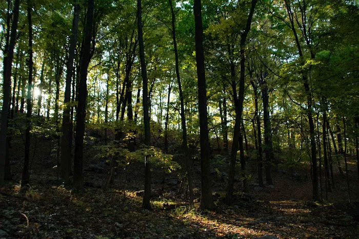 Tarrywile Park Picture 2
