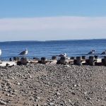 Burying Hill Beach