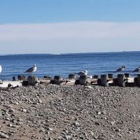 Burying Hill Beach ico