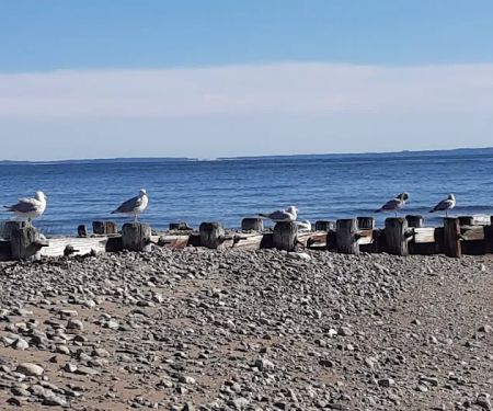 Burying Hill Beach