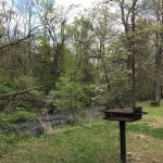 Springer Glen Open Space