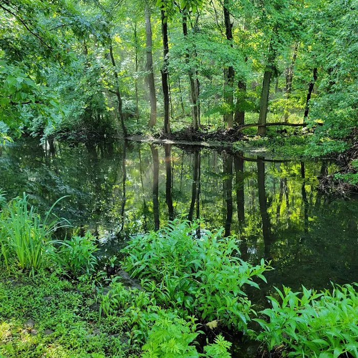 Riverside Park Picture 7
