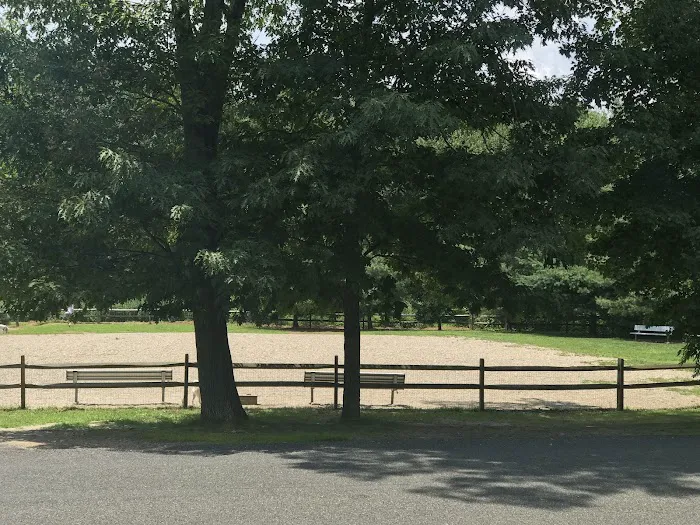 Easton Dog Park Picture 10