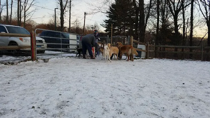 Easton Dog Park Picture 1