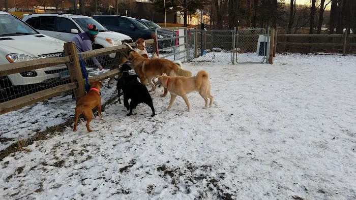 Easton Dog Park Picture 4