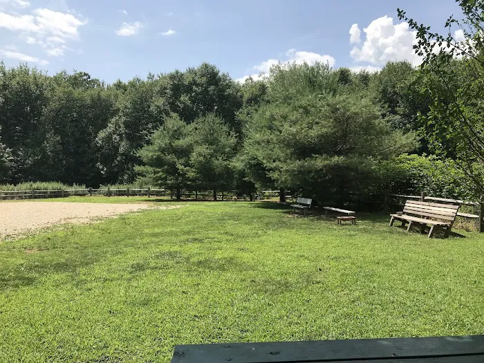 Easton Dog Park Picture 5