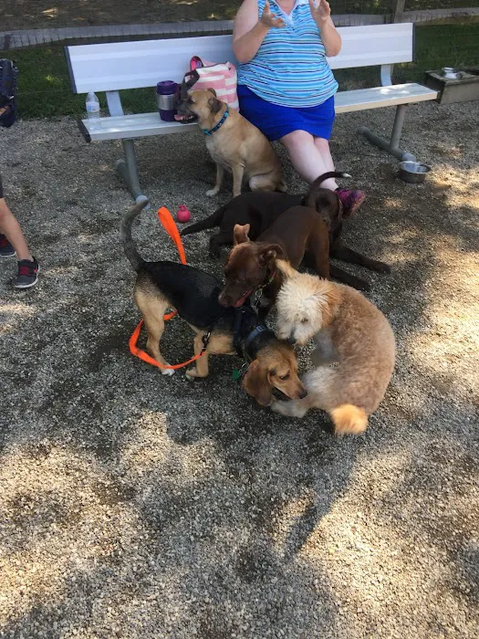 Easton Dog Park Picture 9