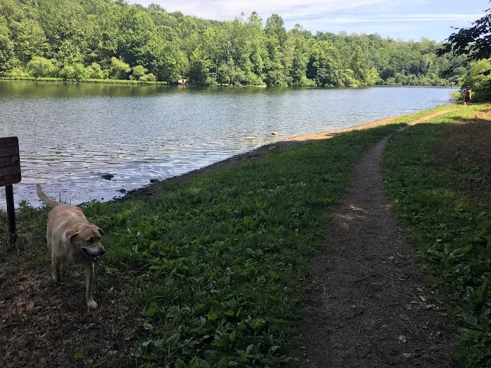 Lake Mohegan Dog Park Picture 1
