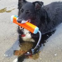 Lake Mohegan Splash Pad ico