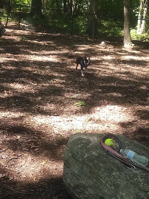 Veteran's Dog Park Picture 10