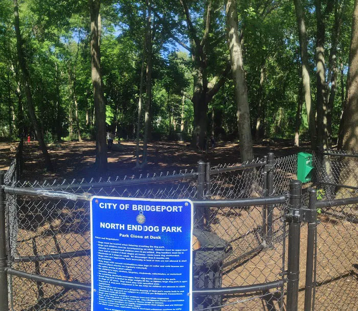 Veteran's Dog Park Picture 7