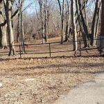 Veteran's Dog Park