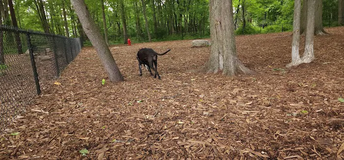 North End Dog Park Picture 3