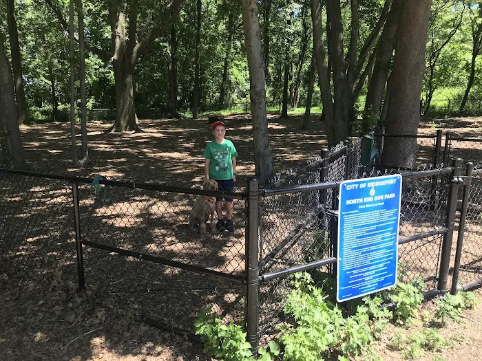 North End Dog Park Picture 6