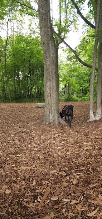 North End Dog Park Picture 2