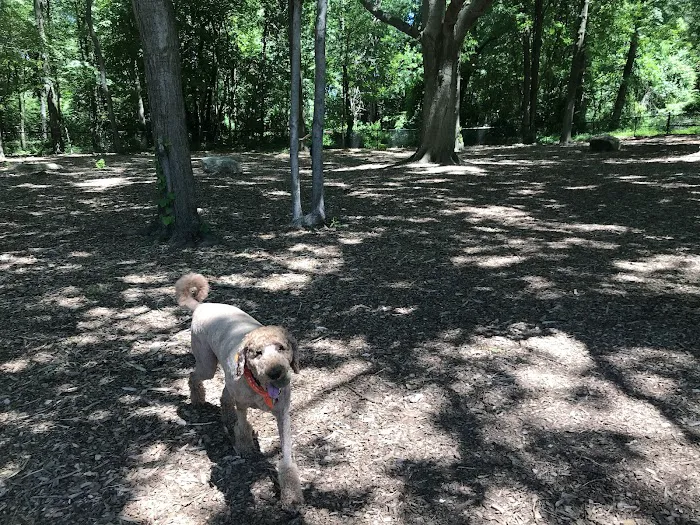 North End Dog Park Picture 7