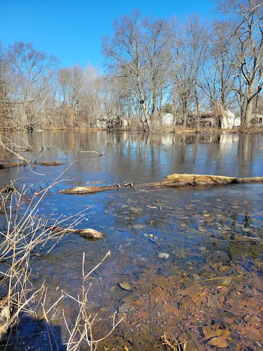 Aspetuck Land Trust: Butkus Pond Preserve Picture 2
