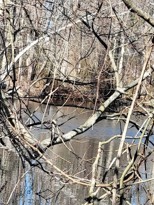 Aspetuck Land Trust: Butkus Pond Preserve Picture 3