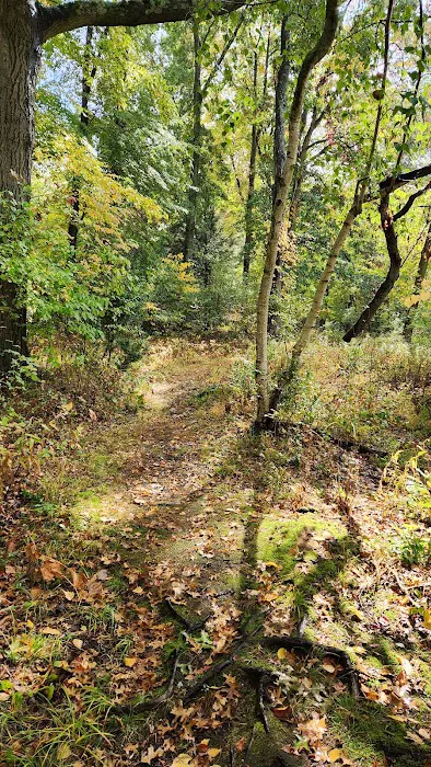 Aspetuck Land Trust: Butkus Pond Preserve Picture 1
