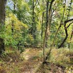 Aspetuck Land Trust: Butkus Pond Preserve