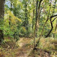 Aspetuck Land Trust: Butkus Pond Preserve ico