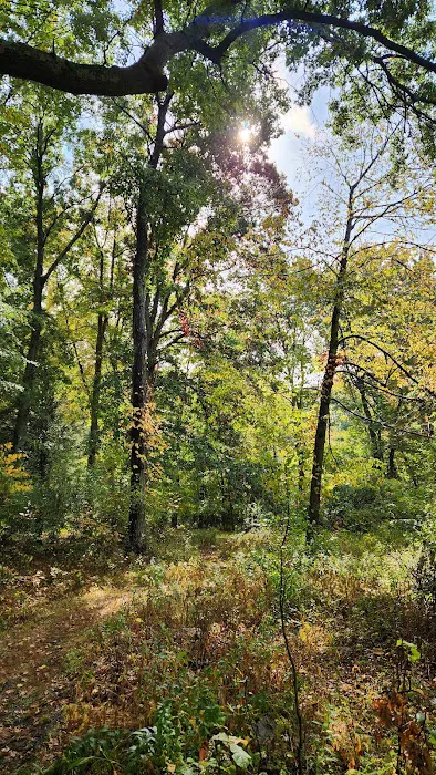 Aspetuck Land Trust: Butkus Pond Preserve Picture 4