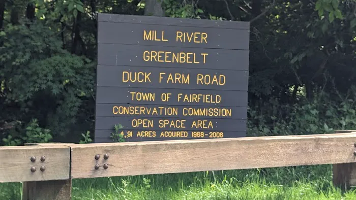 Riverfield Open space Picture 1