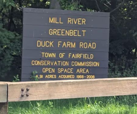 Riverfield Open space