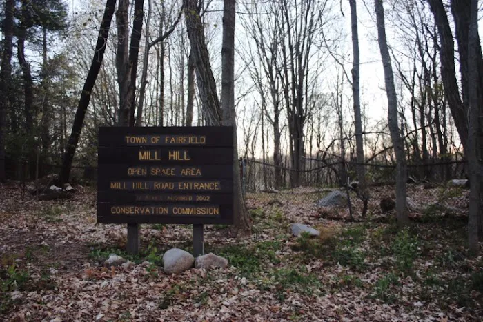 Mill Hill Open Space Picture 1