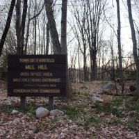 Mill Hill Open Space ico