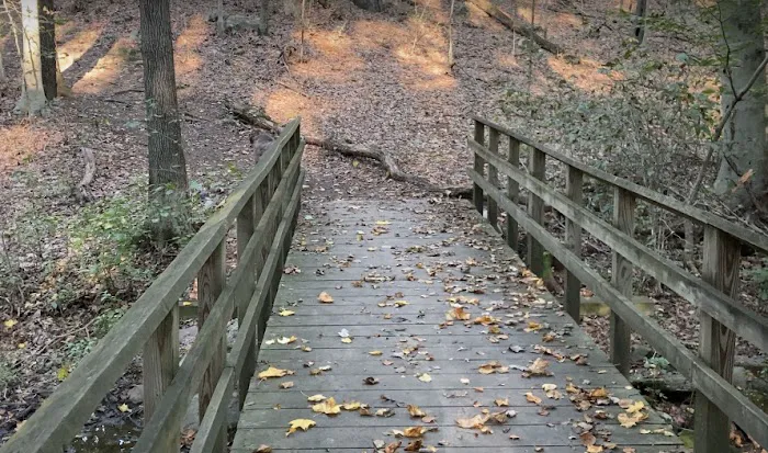 Mill Hill Open Space Picture 10
