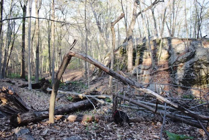 Mill Hill Open Space Picture 4