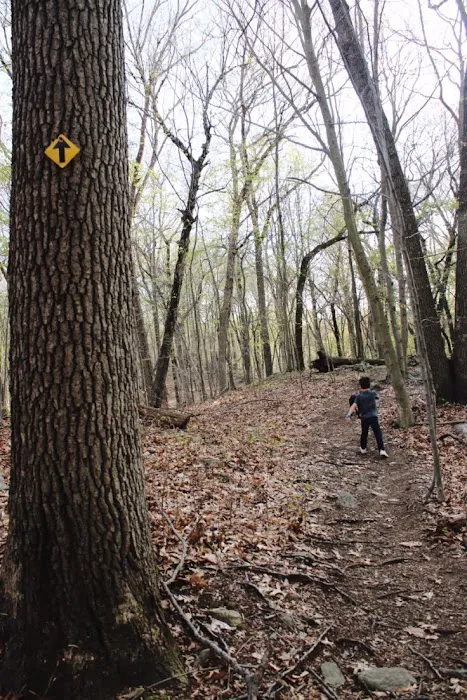 Mill Hill Open Space Picture 6
