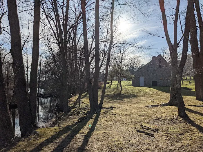 Sturges Ponds Open Space Picture 1