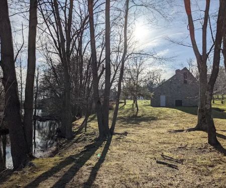 Sturges Ponds Open Space