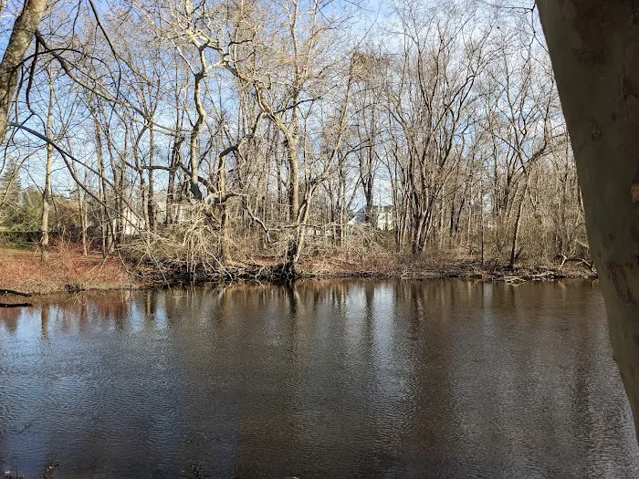 Sturges Ponds Open Space Picture 3