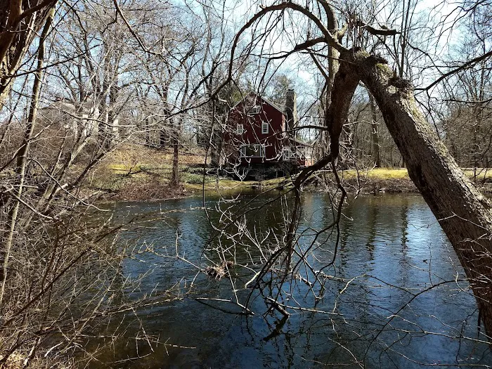 Perry's Mill Ponds Picture 8