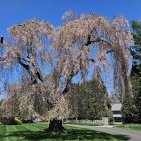 H. Smith Richardson Wildlife Preserve ico