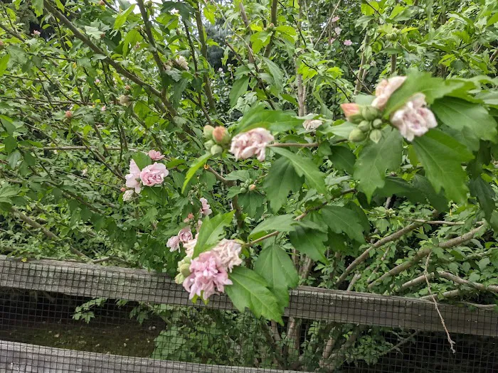 H. Smith Richardson Wildlife Preserve Picture 7