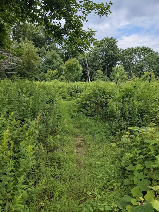H. Smith Richardson Wildlife Preserve Picture 6