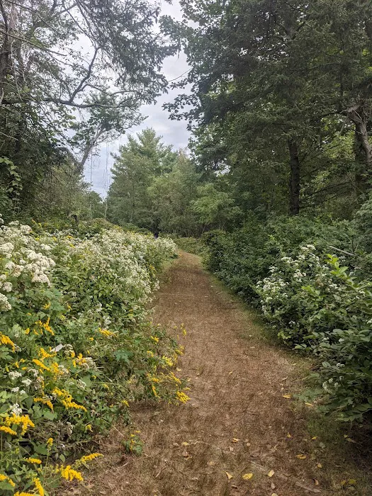 H. Smith Richardson Wildlife Preserve Picture 4