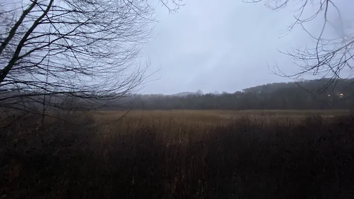 Bog Brook Unique Area Picture 9
