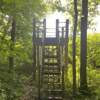 Bog Brook Unique Area ico
