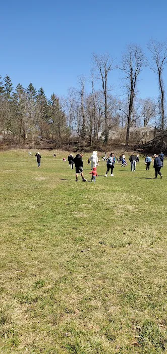 Club Court Park Picture 4