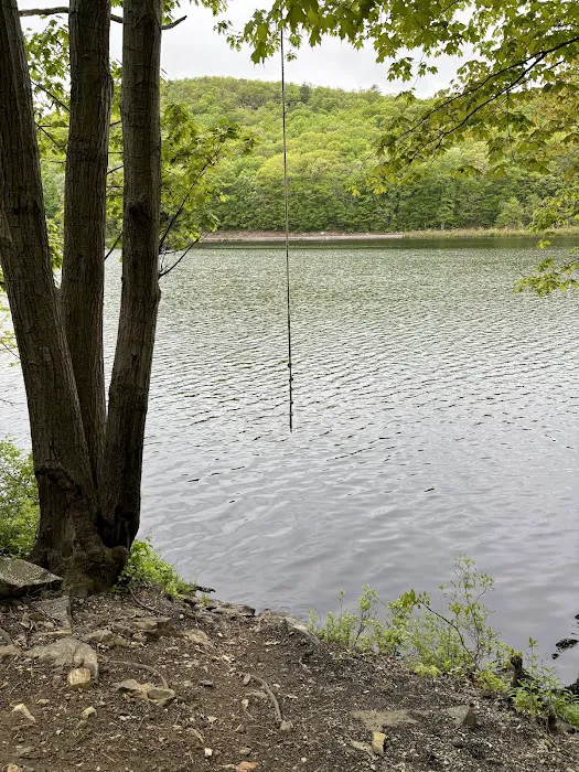 Empire State Trail - Towners Access Picture 10